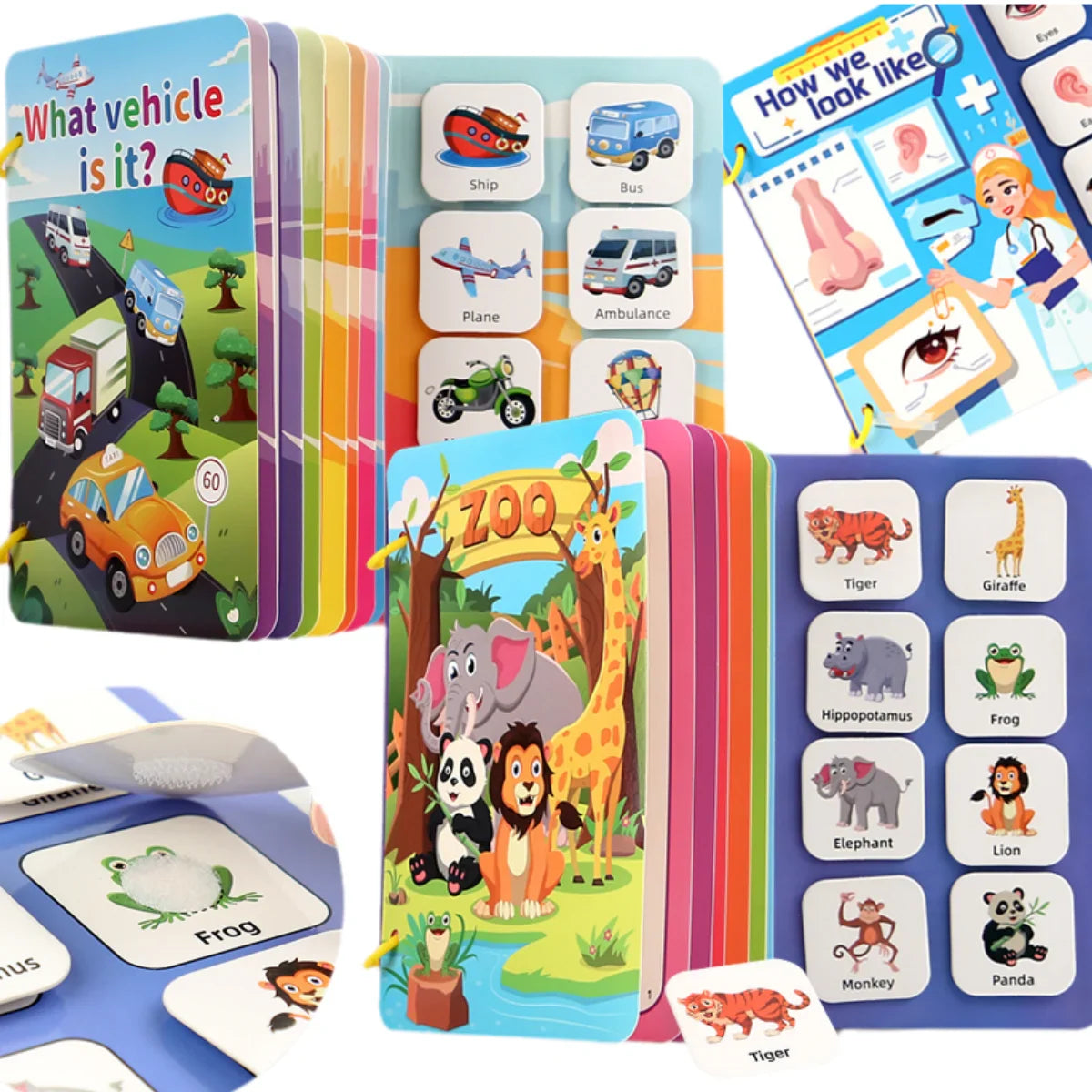 1–3 ans — Motricité & Découverte